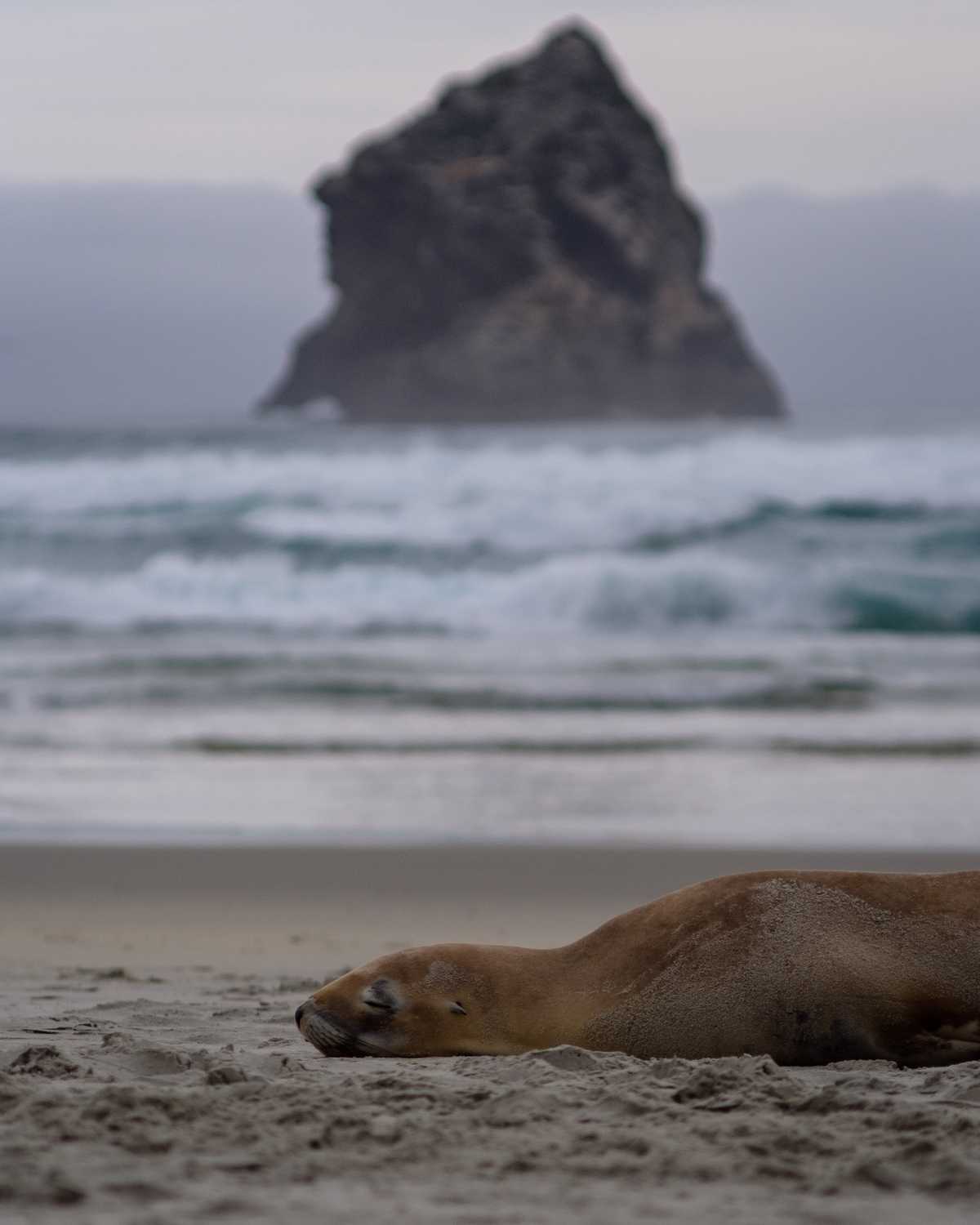 Coromandel