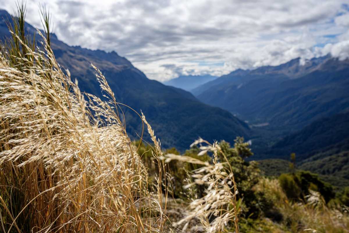Key Summit, Fiordland National Park
