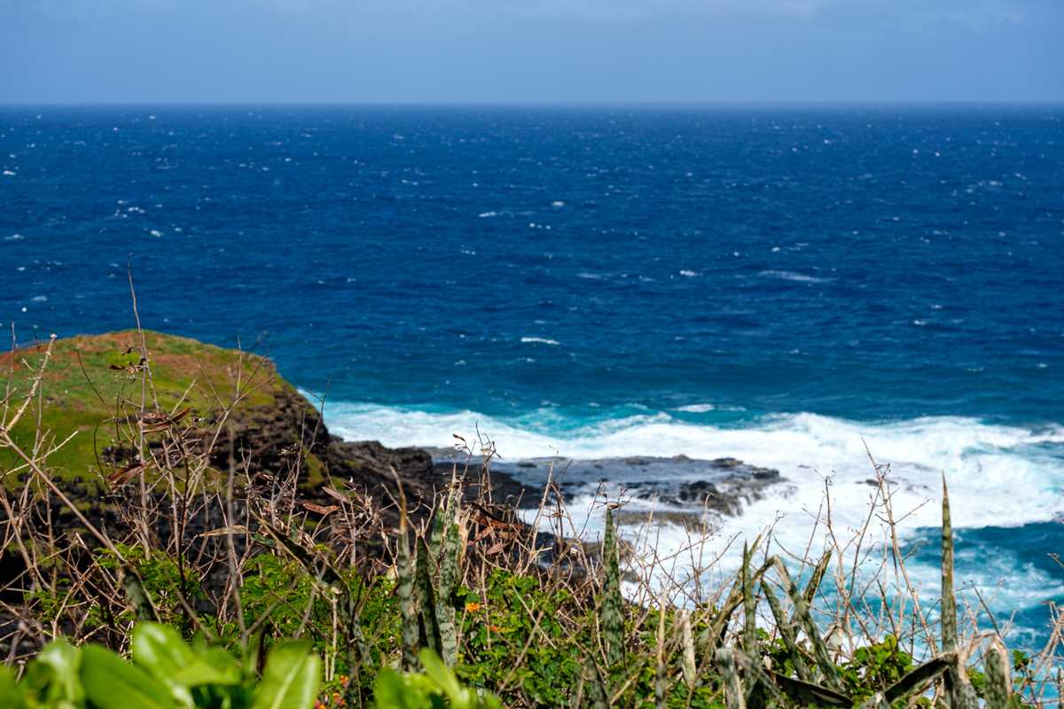 Kīlauea Point