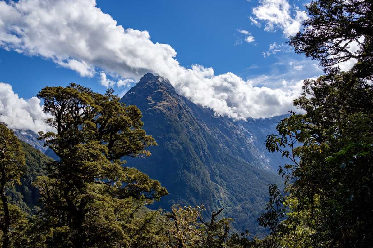 Key Summit hike, Fiordland National Park