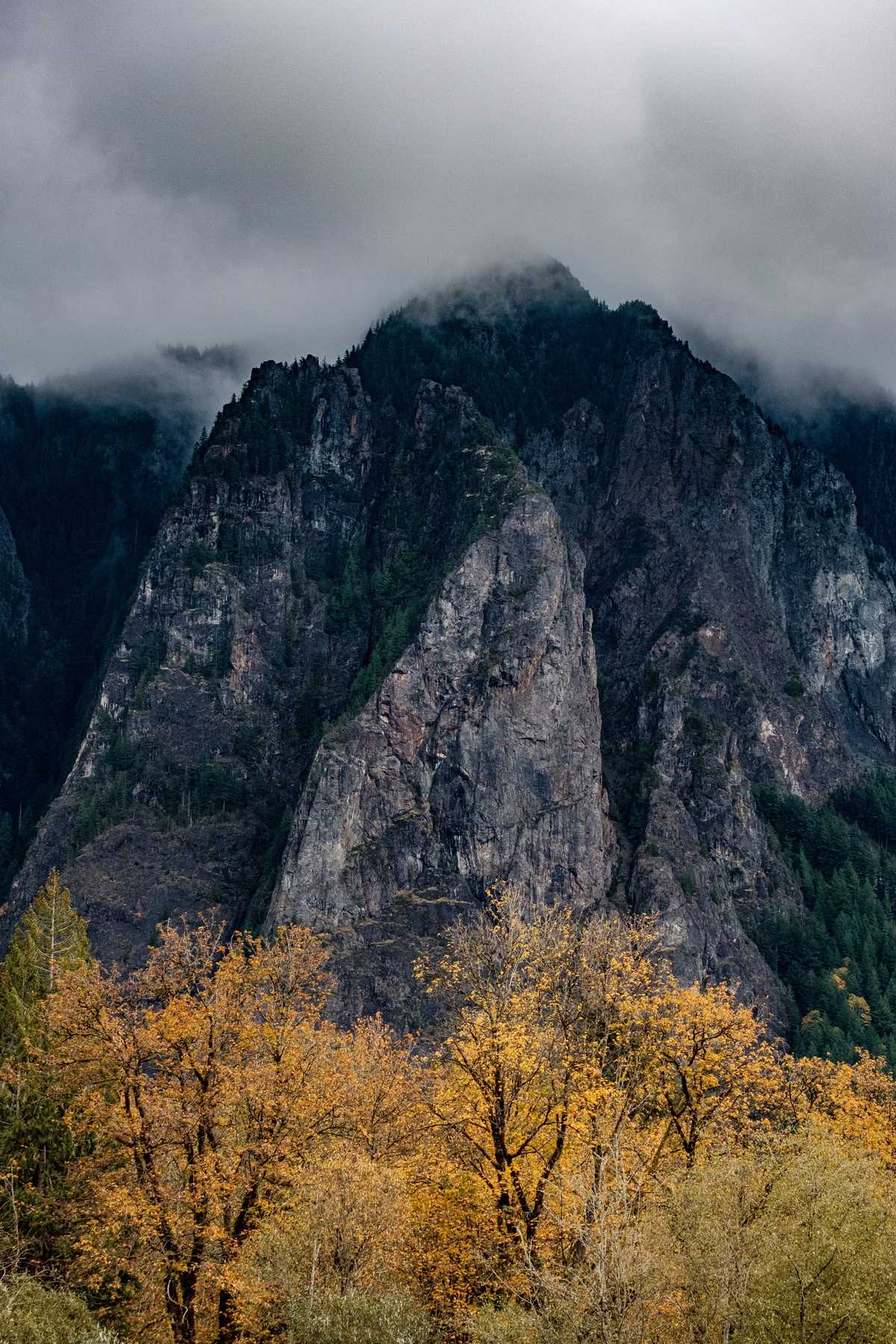 Mountain Loop Highway