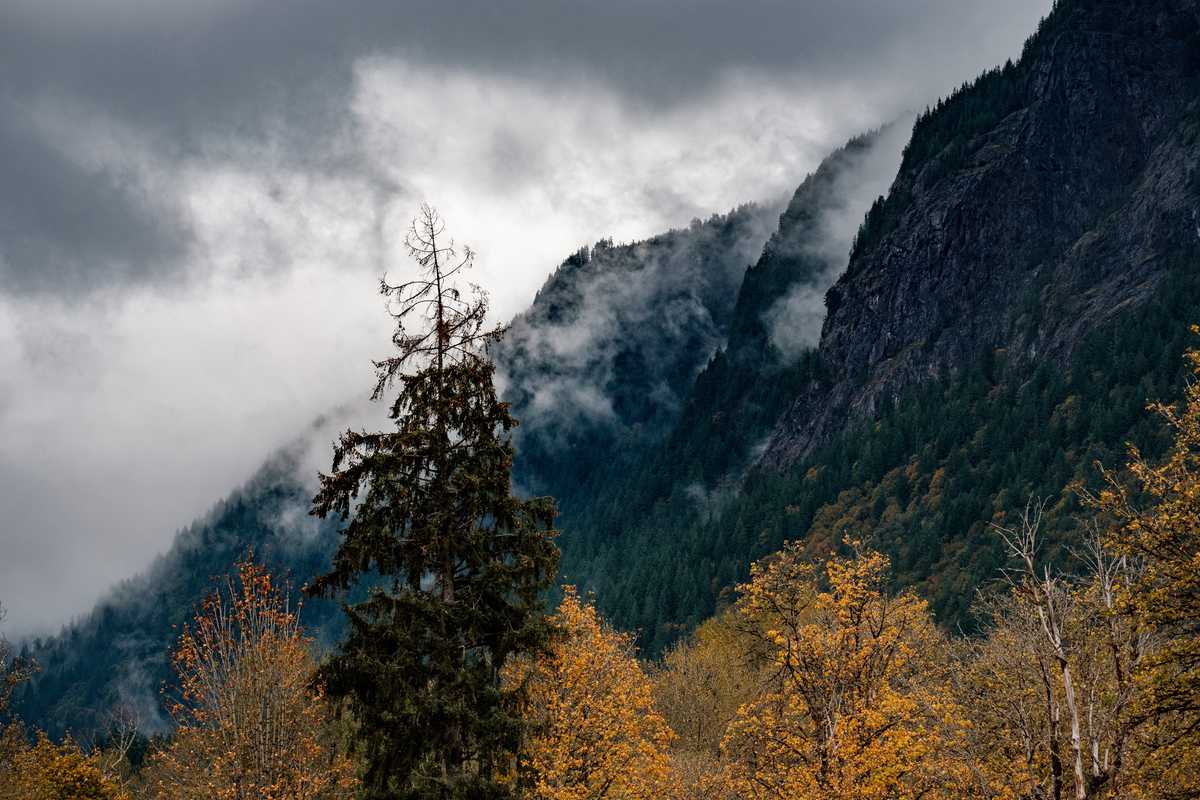 Mountain Loop Highway