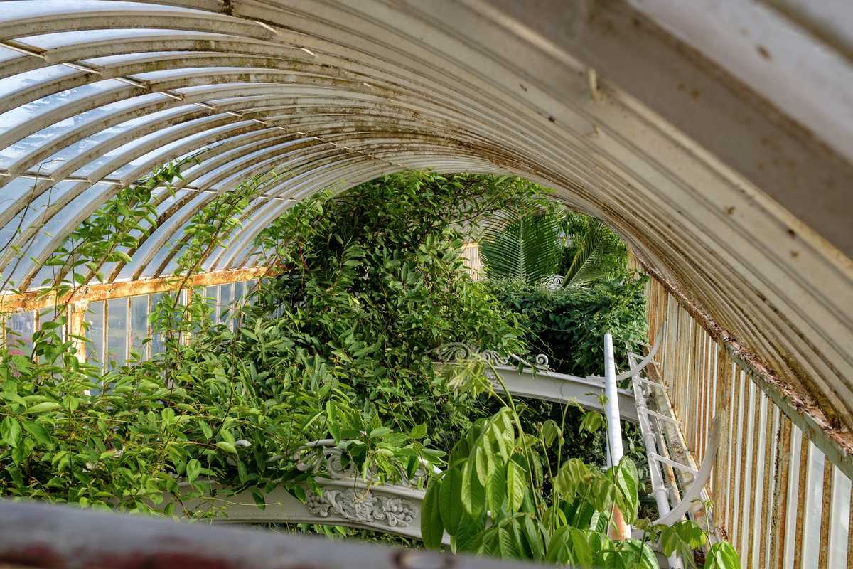 Kew Gardens