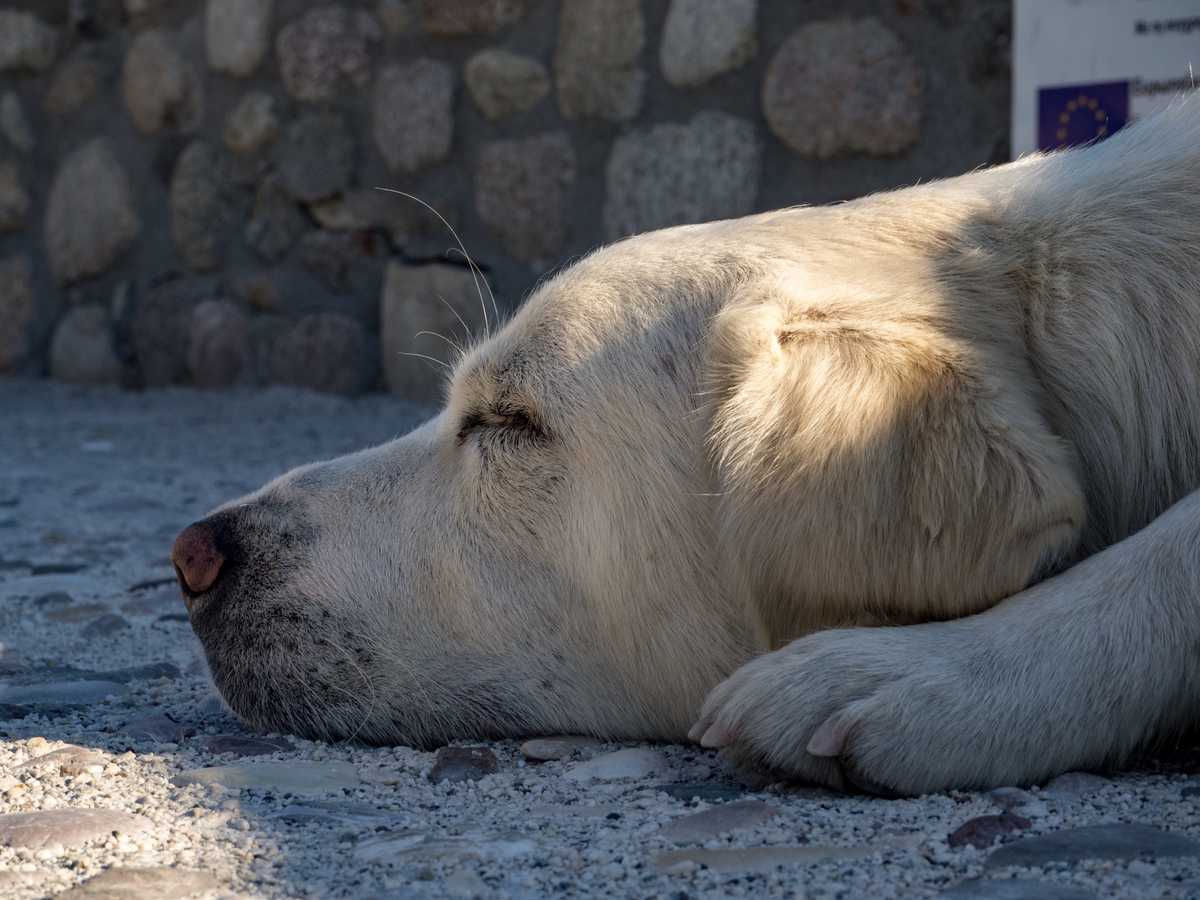 G o o d   b o y e, Athens
