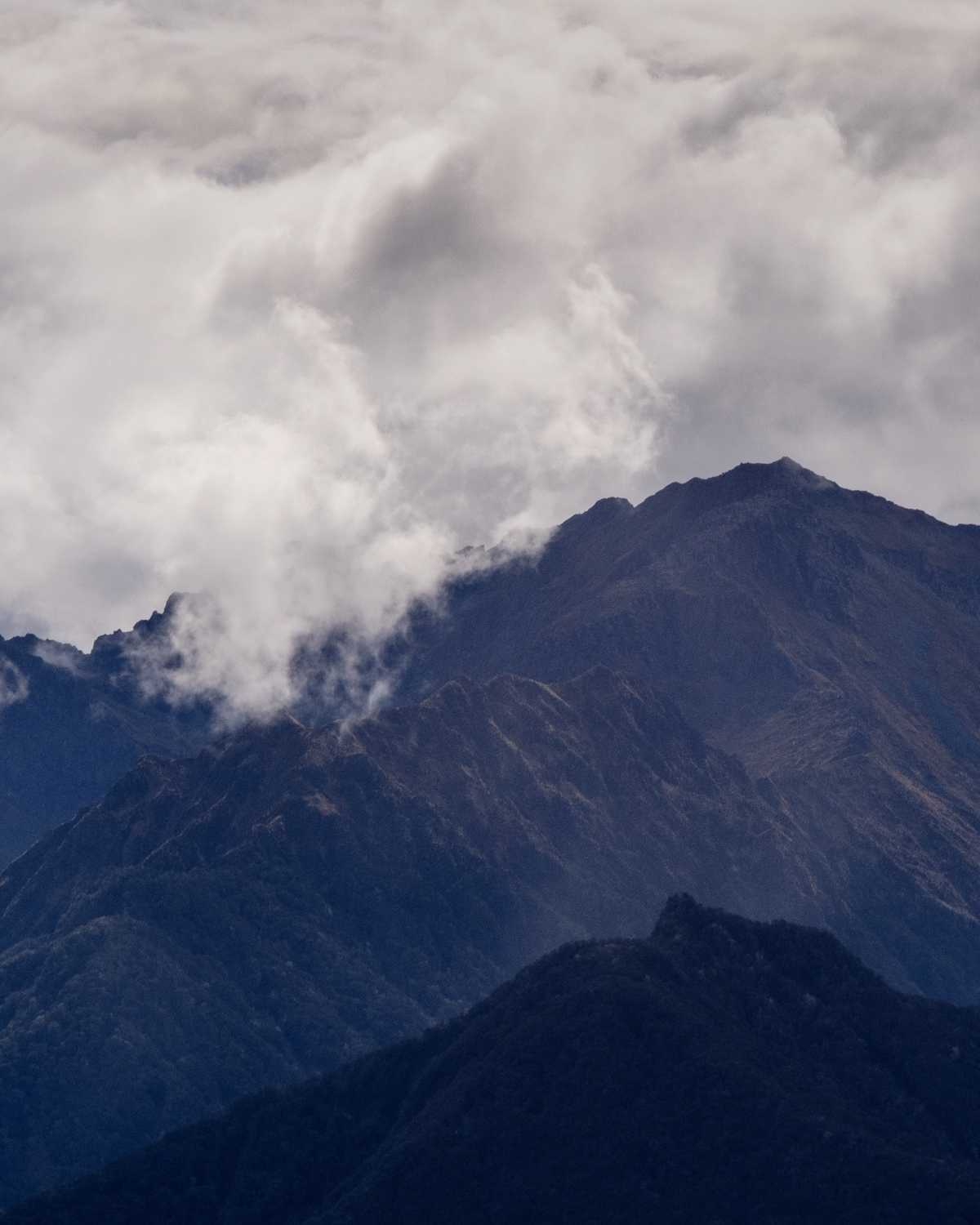 Fiordland