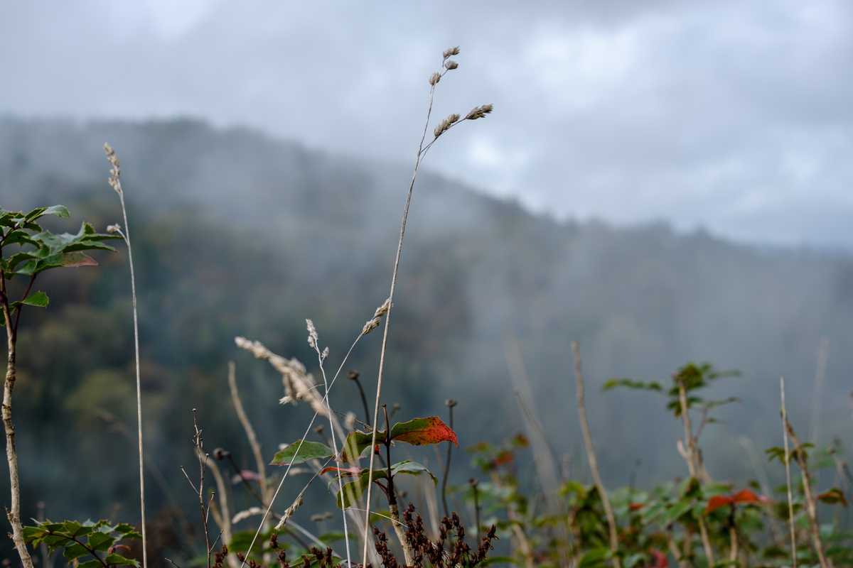 Snoqualmie Falls