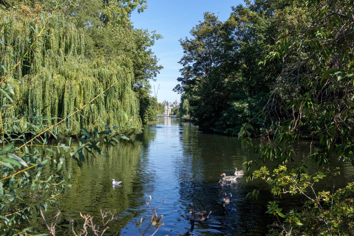Just outside Buckingham Palace